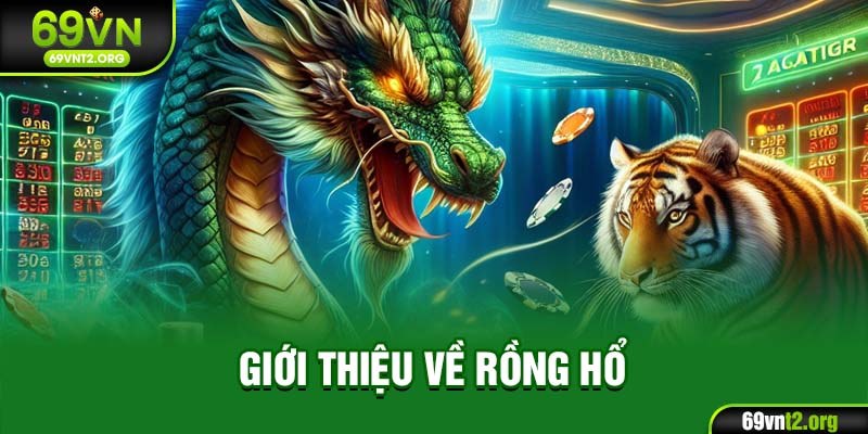 Giới thiệu về Rồng Hổ